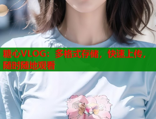 糖心VLOG：多格式存储，快速上传，随时随地观看  第2张