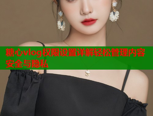 糖心vlog权限设置详解轻松管理内容安全与隐私  第1张