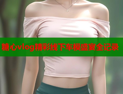 糖心vlog精彩线下车模盛宴全记录